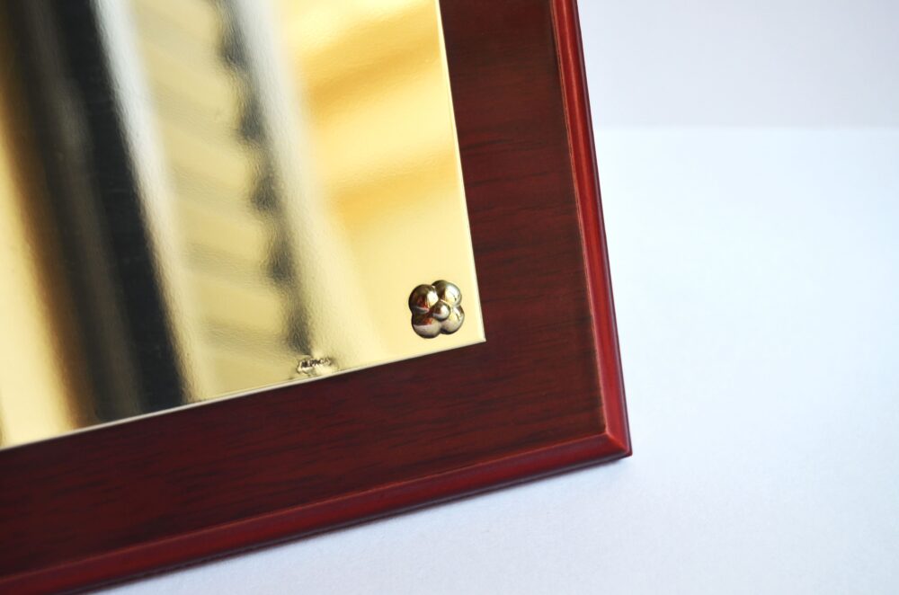 placa alpaca